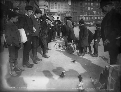 A Gutter Toy Merchant, New York City by Detroit Publishing Co.